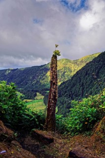 A solitary tree stump in the foreground of a green mountain landscape and cloudy sky, crater
