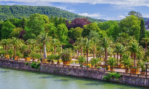 Castle moat with palm garden in the spa gardens, the largest outdoor palm garden north of the Alps,
