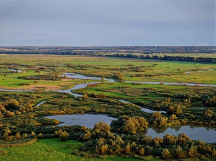 The Warta Estuary National Park, Park Narodowy Ujscie Warty, where the Warta flows into the Oder.
