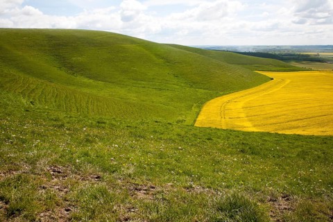 Chalk scarp slope near Allington, Wiltshire, England, United Kingdom, Europe