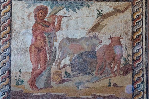 Ancient mosaic depicting a faun playing the panpipe surrounded by animals, Archaeological Museum,