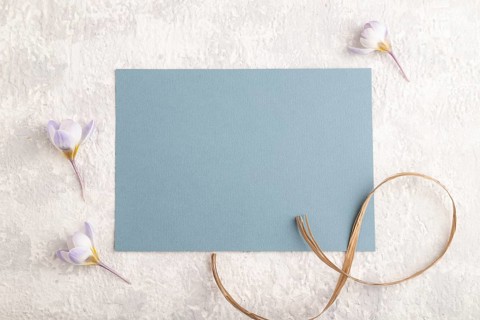 Blue paper sheet mockup with spring snowdrop crocus flowers on gray concrete background. Blank,