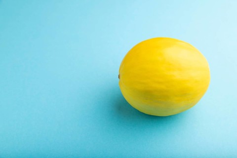 Ripe yellow melon on blue pastel background. Side view, copy space. harvest, healthy, vegan food,