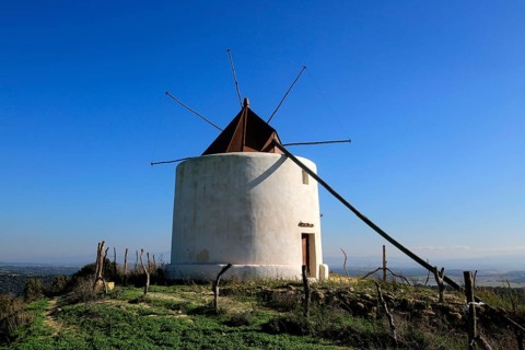 Traditional windmill, Vejer de la Frontera, Cadiz Province, Spain, Europe