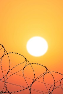 Symbolic image imprisonment, barbed wire fence in front of the sun, sunset, protective fence,
