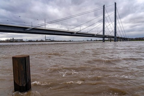 Rhine knee bridge, high water of the Rhine near Düsseldorf, North Rhine-Westphalia, Germany, Europe