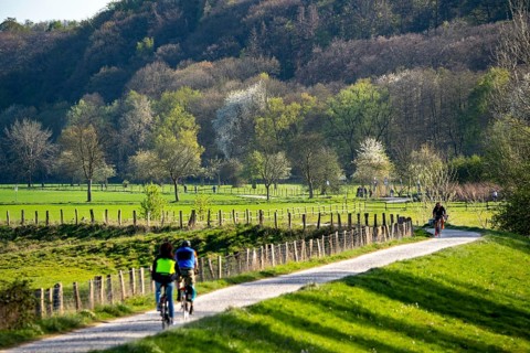 Landscape near Mülheim an der Ruhr, fields in spring, Ruhr dyke, part of the Ruhr Valley cycle