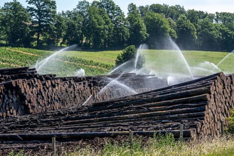 Wet wood storage of a sawmill, timber that is stored longer is sprinkled with water so that the