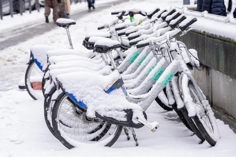 Winter in the city, snow-covered rental bikes from Nextbike, animal, Hauptwache, Frankfurt am Main,