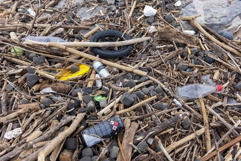 Symbolic image environmental pollution, plastic waste, rubbish, flotsam from a flood on the Neckar