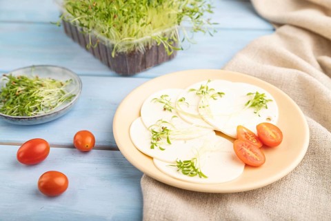 White cheese with tomatoes and cilantro microgreen on blue wooden background and linen textile.