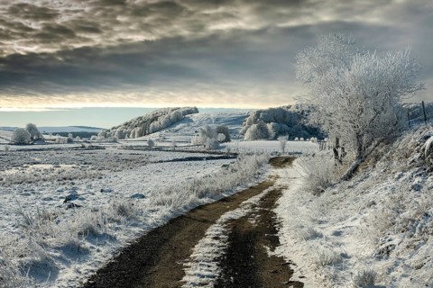Path on Aubrac plateau in winter. Lozere. Occitanie. France