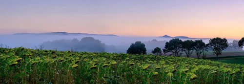 Morning fog over the Werra valley, from the Schlierbachsattel, Oberdünzenbach near Eschwege,