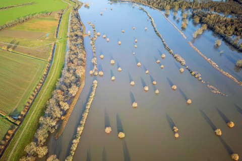 Aerial view, flood, closed roads, flood protection, flooding, dike protection, dike on the Elbe,