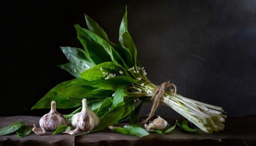 Fresh wild garlic arranged next to garlic bulbs on a wooden surface, Wild garlic, Allium ursinum,