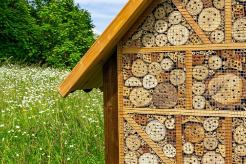 Insect hotel, wildflower meadow at the park cemetery in Essen, the city's largest cemetery, North