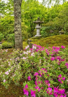 Tenryu Shiseizen-ji temple garden, Kyoto, Japan, Asia