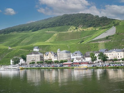 Bernkastel on the Moselle with vineyards, Bernkastel-Kues, Moselle, Rhineland-Palatinate, Germany,