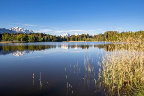 Hegratsrieder See near Füssen, Allgäu Alps, snow, Allgäu, Bavaria, Germany, Europe