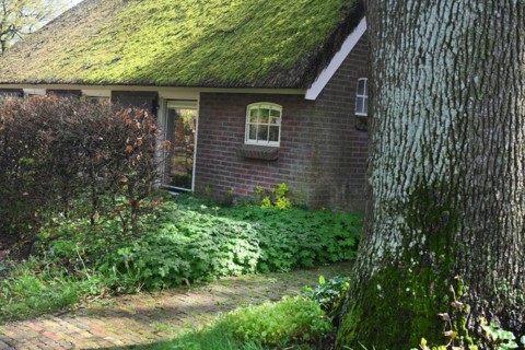 NL, Eesergroen: Spring characterises the landscape, towns and people in the province of Drenthe in