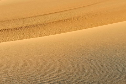 Wave-like sand dunes in a dry desert landscape in golden colours, Matruh, Great Sand Sea, Libyan