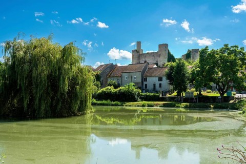 Billy. The fortified castle dating back to the 13th century, overlooks a pond, Allier,