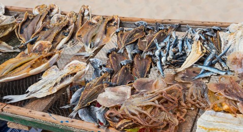 A wooden rack with dried fish of different varieties on the beach, fish drying, Praia da Nazare