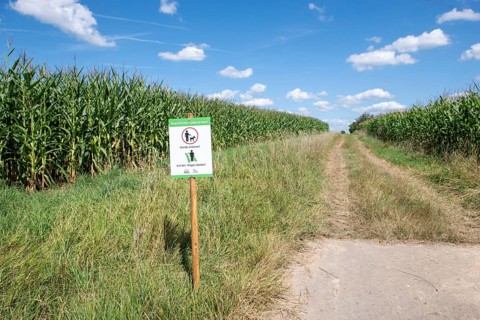 Sign for dog owners that they should stay on the paths and that dogs must be kept on a lead.NABU,