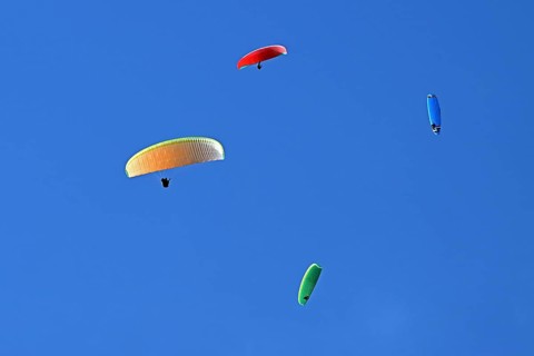 Four colourful paragliders fly in the blue sky