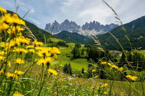 Geislerspitzen, Villnöss Valley, Sass Rigais, Dolomites, South Tyrol, Italy, Europe