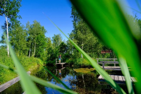 Moor adventure trail, nature conservation centre, Pfrunger-Burgweiler Ried nature reserve,