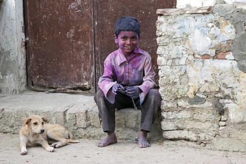 Child with dog covered in pink dye celebrating the Holi festival, Festival of Colours in Vrindavan,