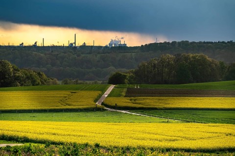 View over Mülheim an der Ruhr, Ickten, rape fields, over the Ruhr heights, to Duisburg-Hüttenheim,