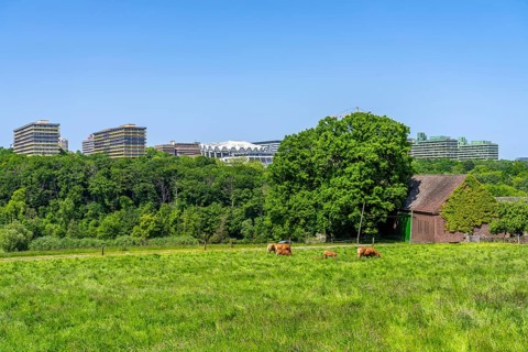 View over the Lottental, in the south of Bochum, to the Ruhr University Bochum, farm, North