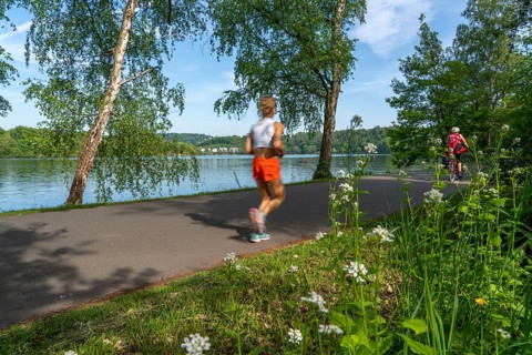 Hiking and cycling on the Ruhr, on Lake Baldeney in Essen, North Rhine-Westphalia, Germany, Europe