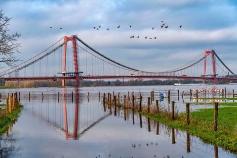 Flood on the Rhine, flooded Rhine meadows, fields, Rhine bridge Emmerich, road bridge of the B220,