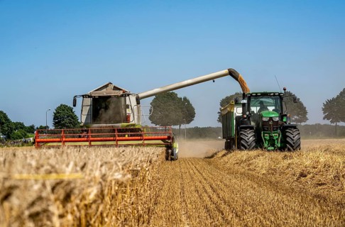 Agriculture, grain harvest, wheat, combine harvester harvesting in a wheat field, grain tank being