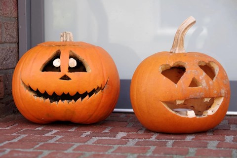 Pumpkins (Cucurbita), Halloween, grimace, decoration, tradition, Two carved pumpkins lie in front