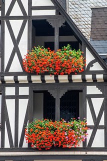 Balconies with lots of flowers in a typical half-timbered house in Ernst, Landkreis Cochem-Zell,