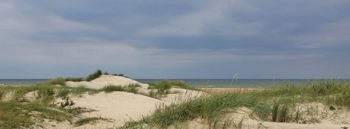 Sand dunes, beach scene near Hirtshals, Denmark, Europe