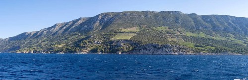 Vineyard on steep slopes by the sea, Peljesac peninsula, near Trstenik, Dalmatia, Croatia, Europe