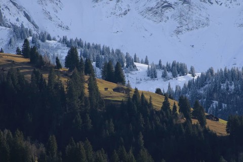 Two seasons at once