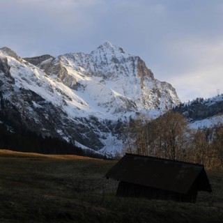 Sun lit meadow and snow covered Mount Arpelistock