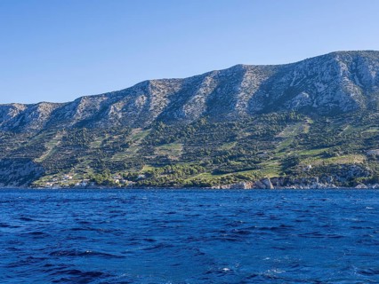 Vineyard on steep slopes by the sea, Peljesac peninsula, near Trstenik, Dalmatia, Croatia, Europe