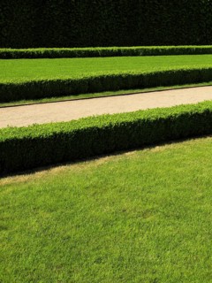 Summer park
