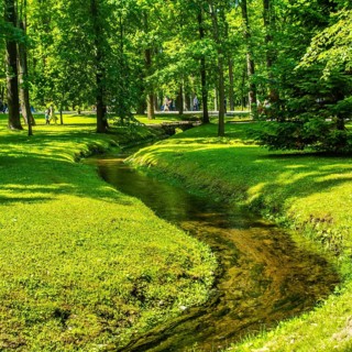 Brook and grass in park in Peterhof, Saint-Petersburg, Russia, Europe