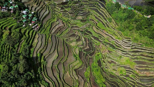 Aerial view of picturesque Batad Rice Terraces in Ifugao Province, Luzon Island, Philippines, Asia