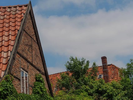 Detail of a half-timbered house with red tiled roofs and lush green trees, Steinfurt, North