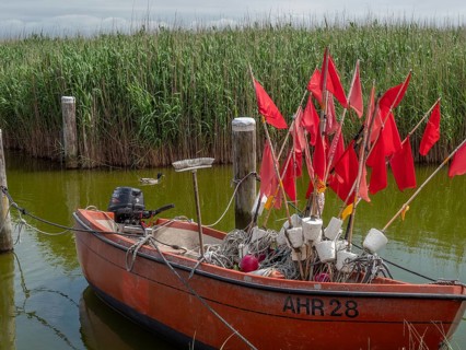 A fishing boat with red flags in the calm waters of the harbour, surrounded by reeds and wooden