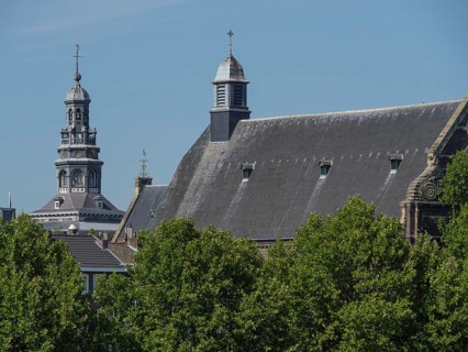 Historic church tower with surrounding trees and clear sky in an urban environment, maastricht.